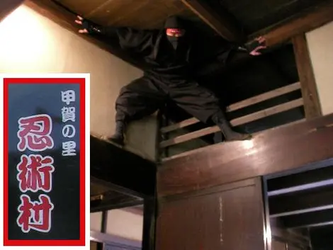 ninja ninja