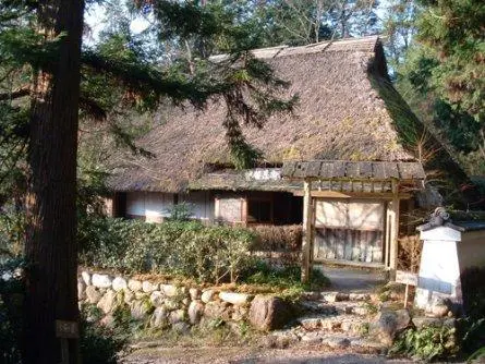 musée musée
