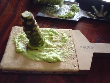 Para crear una pasta el wasabi se raya en una piel de tiburón que debe ser cambiada todos los años. Para crear una pasta el wasabi se raya en una piel de tiburón que debe ser cambiada todos los años.