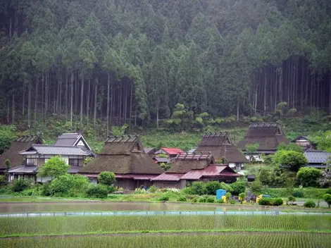 A Kayabuki no Sato on a la vraie sensation d'une communauté villageoise japonaise perdue au milieu des rizières. A Kayabuki no Sato on a la vraie sensation d'une communauté villageoise japonaise perdue au milieu des rizières.