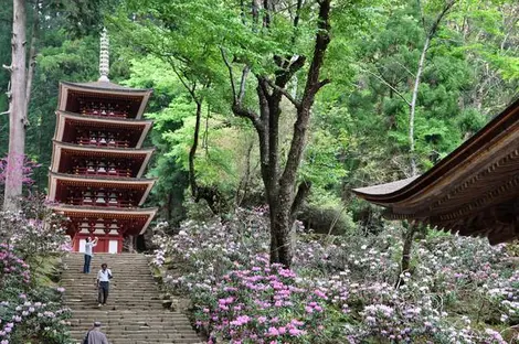 Le temple de Muroji est immergé dans la forêt, à Asuka Le temple de Muroji est immergé dans la forêt, à Asuka