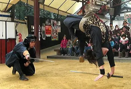 Les ninja d'Iga Les ninja d'Iga