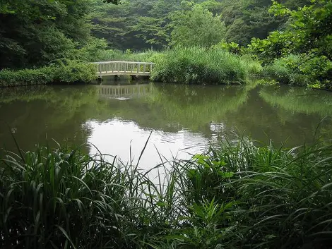 Institut d’Etude de la nature, Meguro Institut d’Etude de la nature, Meguro
