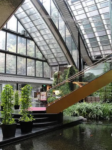 Un jardin intérieur au Gajo-en. Un jardin intérieur au Gajo-en.