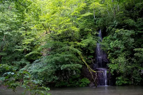 Une cascade sur le chemin de randonnée de la gorge Oraise