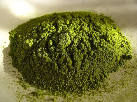 La thé matcha à l'état de poudre La thé matcha à l'état de poudre
