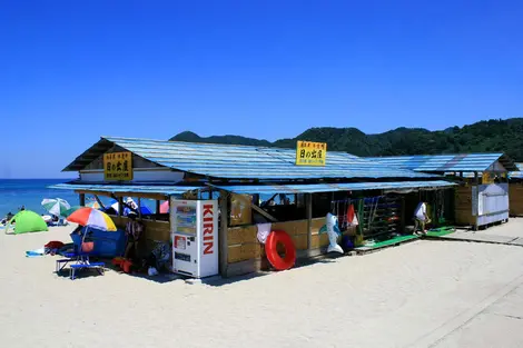 Tarantín playero en Takeno.