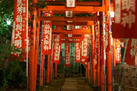 Les torii du temple Kishimojin Les torii du temple Kishimojin