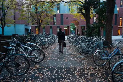 Un parking à vélos comme on en trouve partout au Japon. Un parking à vélos comme on en trouve partout au Japon.