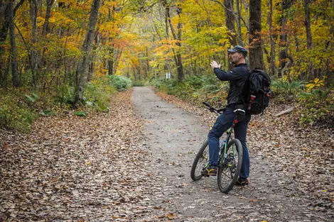 En los bosques cerca del  lago Shikotsu se puede pasear en bicicleta.