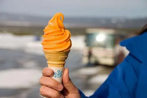 El famoso  y delicioso helado de melon de Hokkaido.