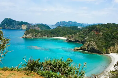 Le parc national d'Ogasawara sur l'île "Chichijima" ou île "père" Le parc national d'Ogasawara sur l'île "Chichijima" ou île "père"