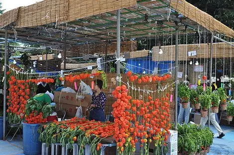 Le marché Hôzuki au Senso-ji Le marché Hôzuki au Senso-ji