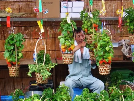 Venta de uchuvas en cestas.