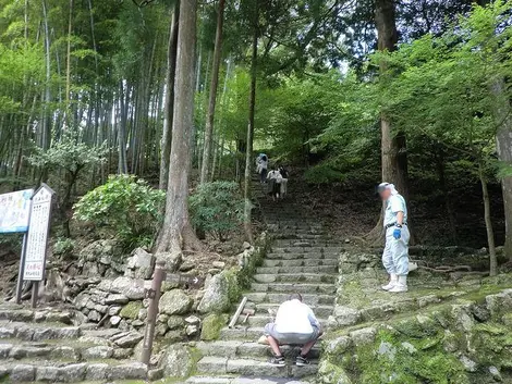 Des pèlerins arrivent et repartent du Seiganto-ji par le chemin Kumano Kodo. Des pèlerins arrivent et repartent du Seiganto-ji par le chemin Kumano Kodo.