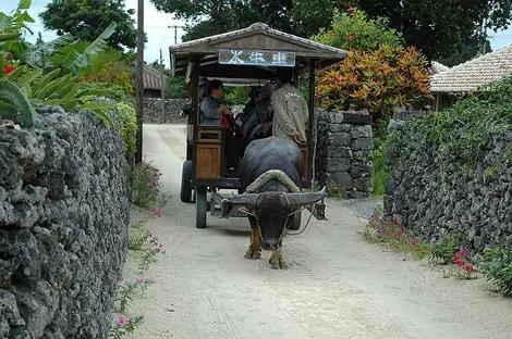 Ile de Taketomi, Okinawa