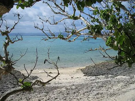 Taketomi beach