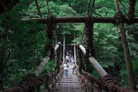 Kazurabashi beim Iya-Tal Kazurabashi beim Iya-Tal