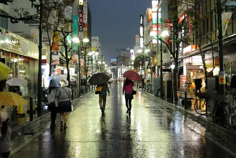 Sous la pluie, le visiteur appréhende son environnement sous un autre regard