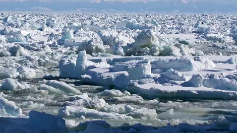 La mer de glace d'Okhotsk