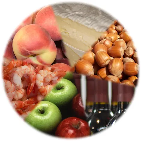 Algunos de los productos que ocasionan alergias. Algunos de los productos que ocasionan alergias.