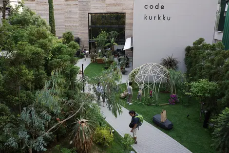 L'allée végétale menant au restaurant Code Kurkku L'allée végétale menant au restaurant Code Kurkku