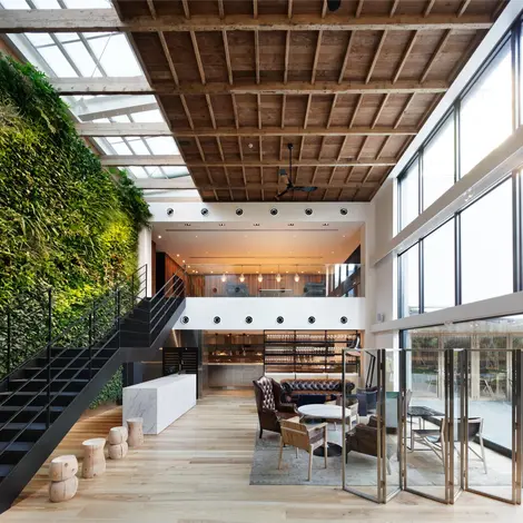 Salle de restaurant et son mur végétalisé Salle de restaurant et son mur végétalisé