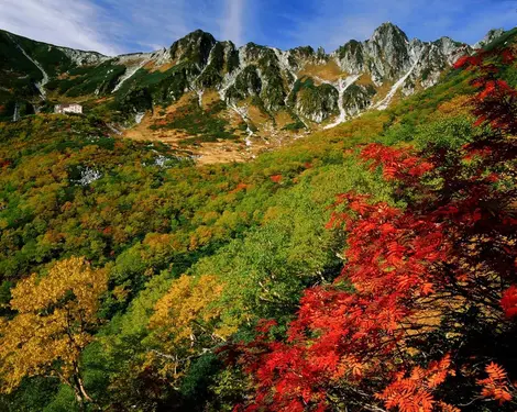 La vallée de Komagane au moment du koyo.