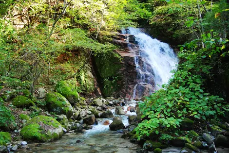 Una de las muchas cascadas de Nakasendo.