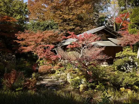 Maison de thé dans le jardin du musée Nezu Maison de thé dans le jardin du musée Nezu