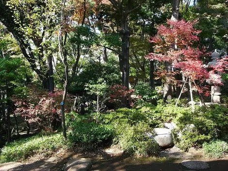 Le jardin de la maison Kyū Asakura Le jardin de la maison Kyū Asakura