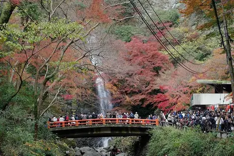 Cascade du parc de Minoh. Cascade du parc de Minoh.