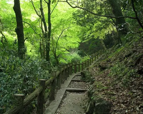 Chemin le long du Mont Minoo Chemin le long du Mont Minoh au parc Meiji no Mori Minoo