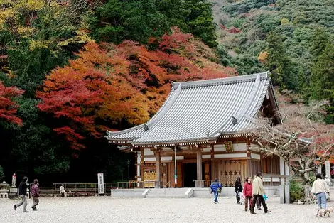 Temple Ryuan-ji, parc de Minoh Temple Ryuan-ji, parc de Minoh