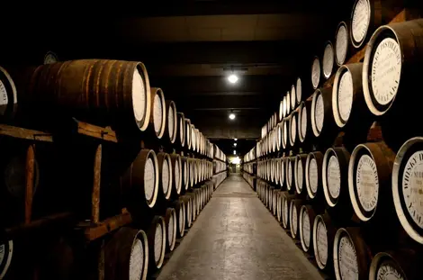Distillerie Yamazaki Whisky Cave Distillerie Yamazaki Whisky Cave
