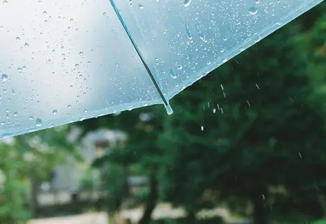 Parapluie