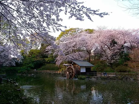 Le parc Nabeshima Shoto