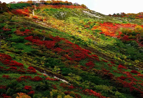 Ginsendai, parc national Daisetsuzan