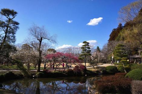 General view of the Kairaku-en garden