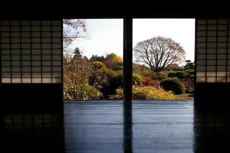 View on the vegetation of Kairaku-en