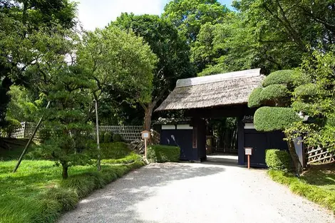 A path in Kairaku-en garden A path in Kairaku-en garden