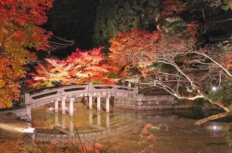 Le pont illuminé au Chionin