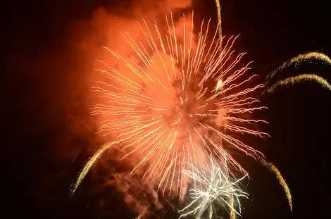 Summer fireworks in Ohori Park Summer fireworks in Ohori Park