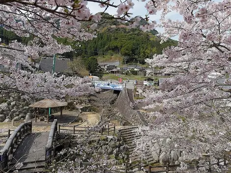 Okawachiyama au moment des cerisiers en fleurs