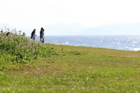 La nature en bord de mer sur l'île de Shikanoshima La nature en bord de mer sur l'île de Shikanoshima