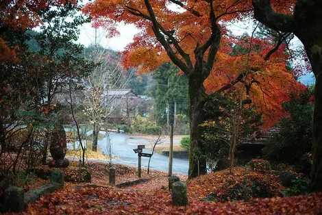 The Nakasendô road in fall The Nakasendô road in fall
