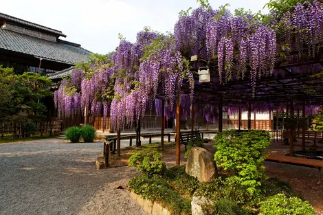 Le musée des cultures du nord Niigata Maison Ito