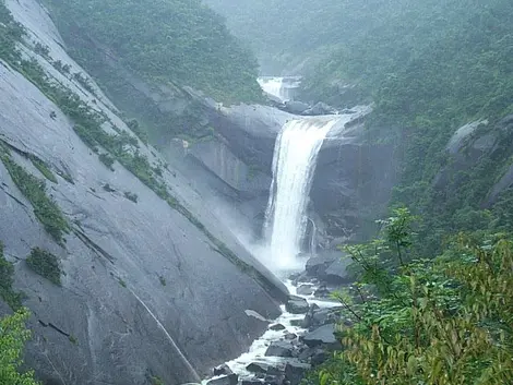 Les chutes de Senpiro à Yakushima