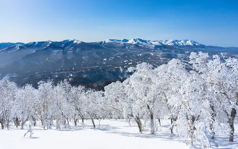 The Daisetsuzan national park in winter The Daisetsuzan national park in winter
