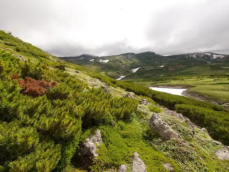 Le Mont Kuro, l'un des sommets du Parc Daisetsuzan Le Mont Kuro, l'un des sommets du Parc Daisetsuzan
